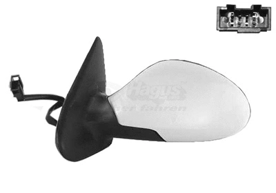 Exterior Mirror (4934817)