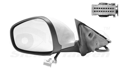 Exterior Mirror (0160807)