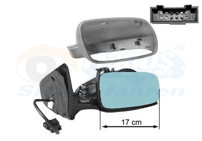 Exterior Mirror (5888816)