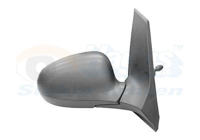 Exterior Mirror (1873804)