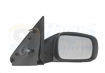 Exterior Mirror (4348808)