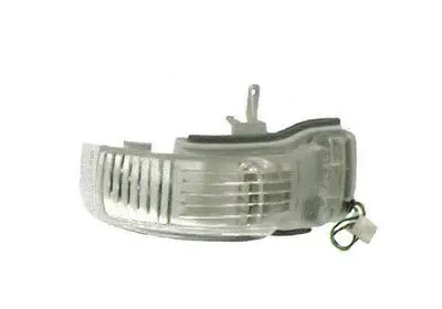 Direction Indicator (5856916)