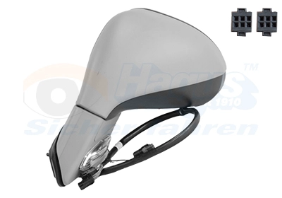 Exterior Mirror (4030807)