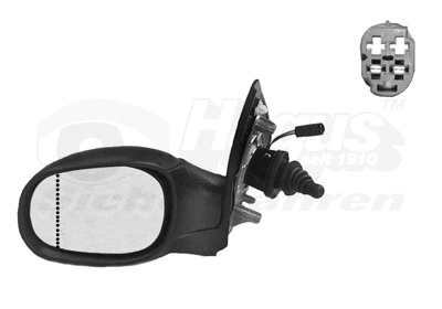 Exterior Mirror (4028813)