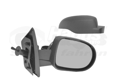 Exterior Mirror (4372804)