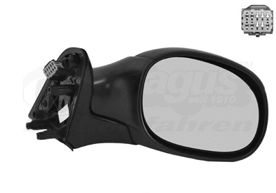 Exterior Mirror (0958808)