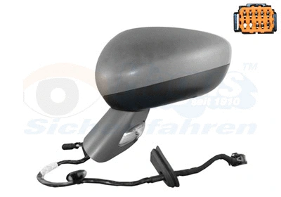 Exterior Mirror (0963817)