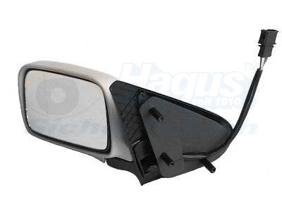 Exterior Mirror (5824807)