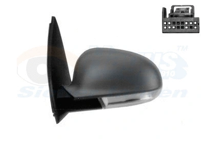 Exterior Mirror (5894805)