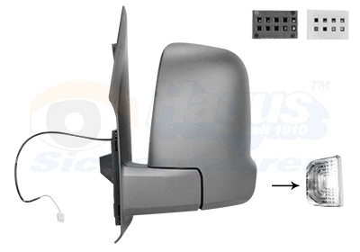 Exterior Mirror (2973807)