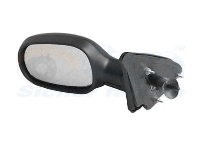 Exterior Mirror (4325803)