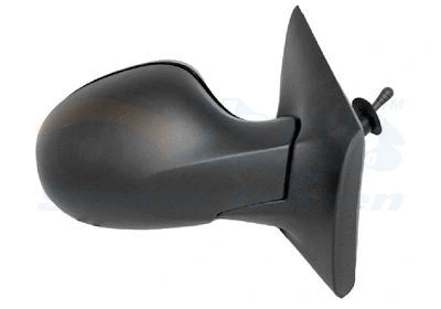 Exterior Mirror (4371804)