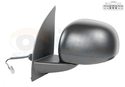 Exterior Mirror (1711807)