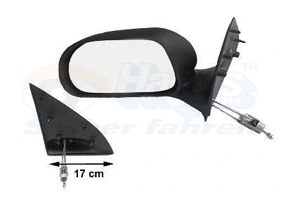 Exterior Mirror (1757803)