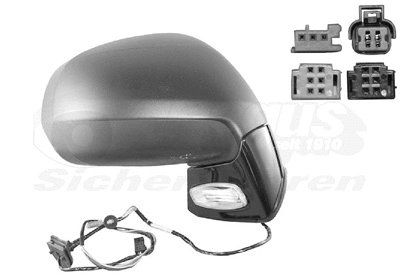 Exterior Mirror (0972818)