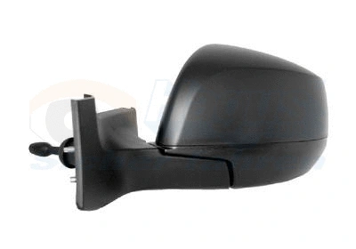 Exterior Mirror (3702803)
