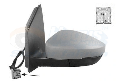 Exterior Mirror (5829823)
