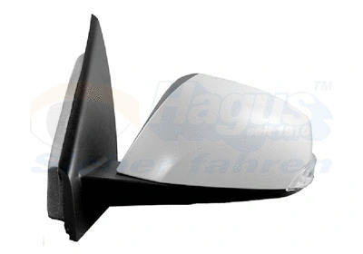 Exterior Mirror (4356817)