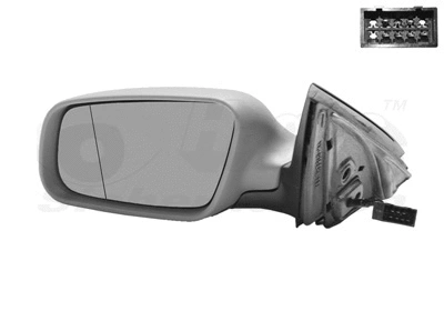 Exterior Mirror (0317807)