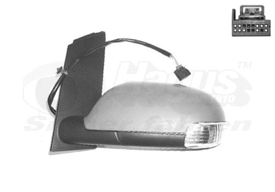 Exterior Mirror (5856817)