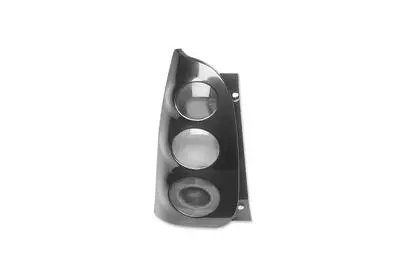 Tail Light Assembly (2910921U)