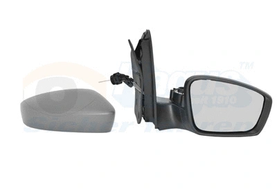 Exterior Mirror (5701814)