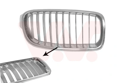 Radiator Grille (0670514)