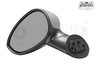 Exterior Mirror (1604815)