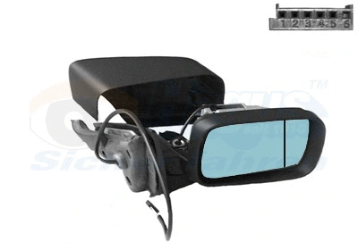 Exterior Mirror (0646806)