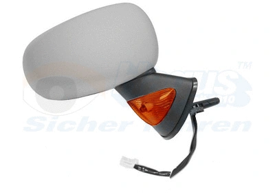 Exterior Mirror (4366818)