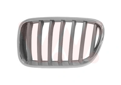 Radiator Grille (0682513)