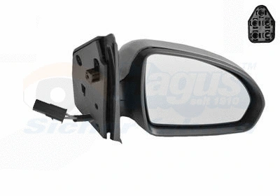 Exterior Mirror (2911818)
