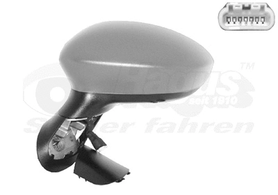 Exterior Mirror (1624815)