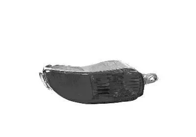 Rear Fog Light (3777938)