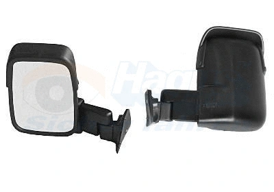 Exterior Mirror (1896802)