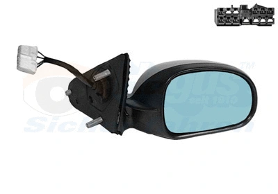 Exterior Mirror (4047808)