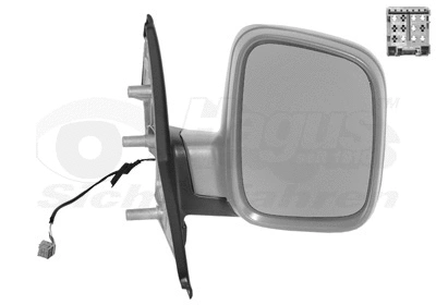 Exterior Mirror (5896818)