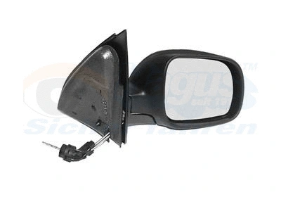 Exterior Mirror (5817804)