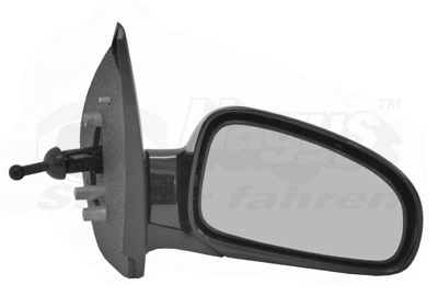 Exterior Mirror (8115804)