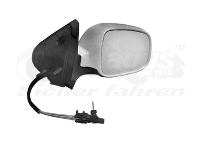 Exterior Mirror (5825804)