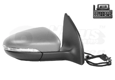 Exterior Mirror (5863818)