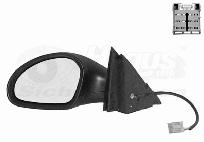 Exterior Mirror (4917819)