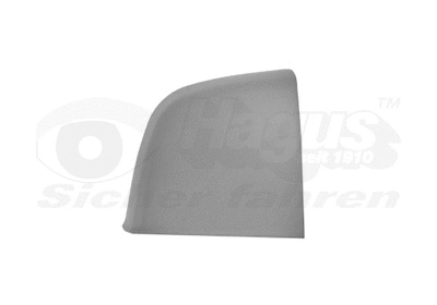 Cover, exterior mirror (1638844)