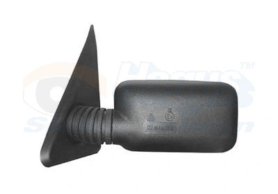 Exterior Mirror (1708802)