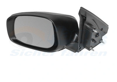 Exterior Mirror (5222804)