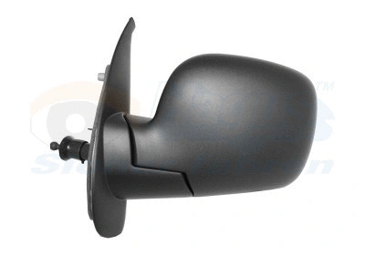 Exterior Mirror (4312803)