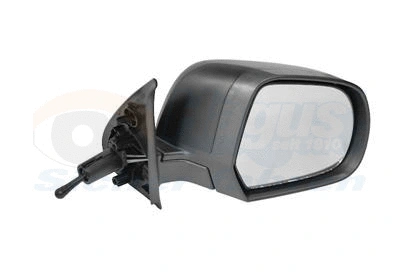 Exterior Mirror (3334804)