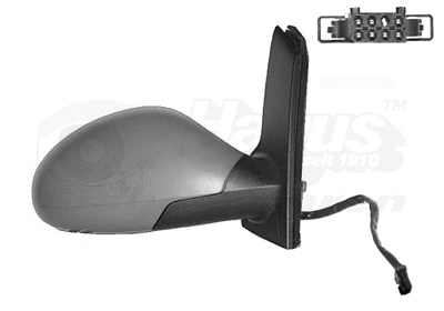 Exterior Mirror (4941828)