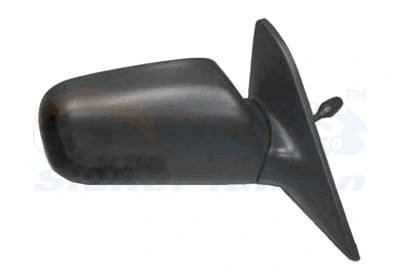 Exterior Mirror (5387804)