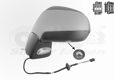 Exterior Mirror (4076817)